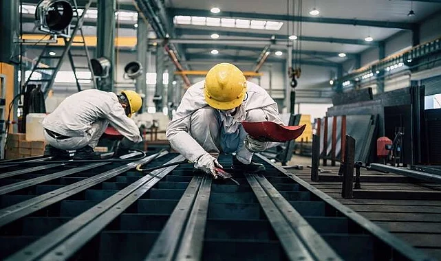 Demirci Fare İlaçlama